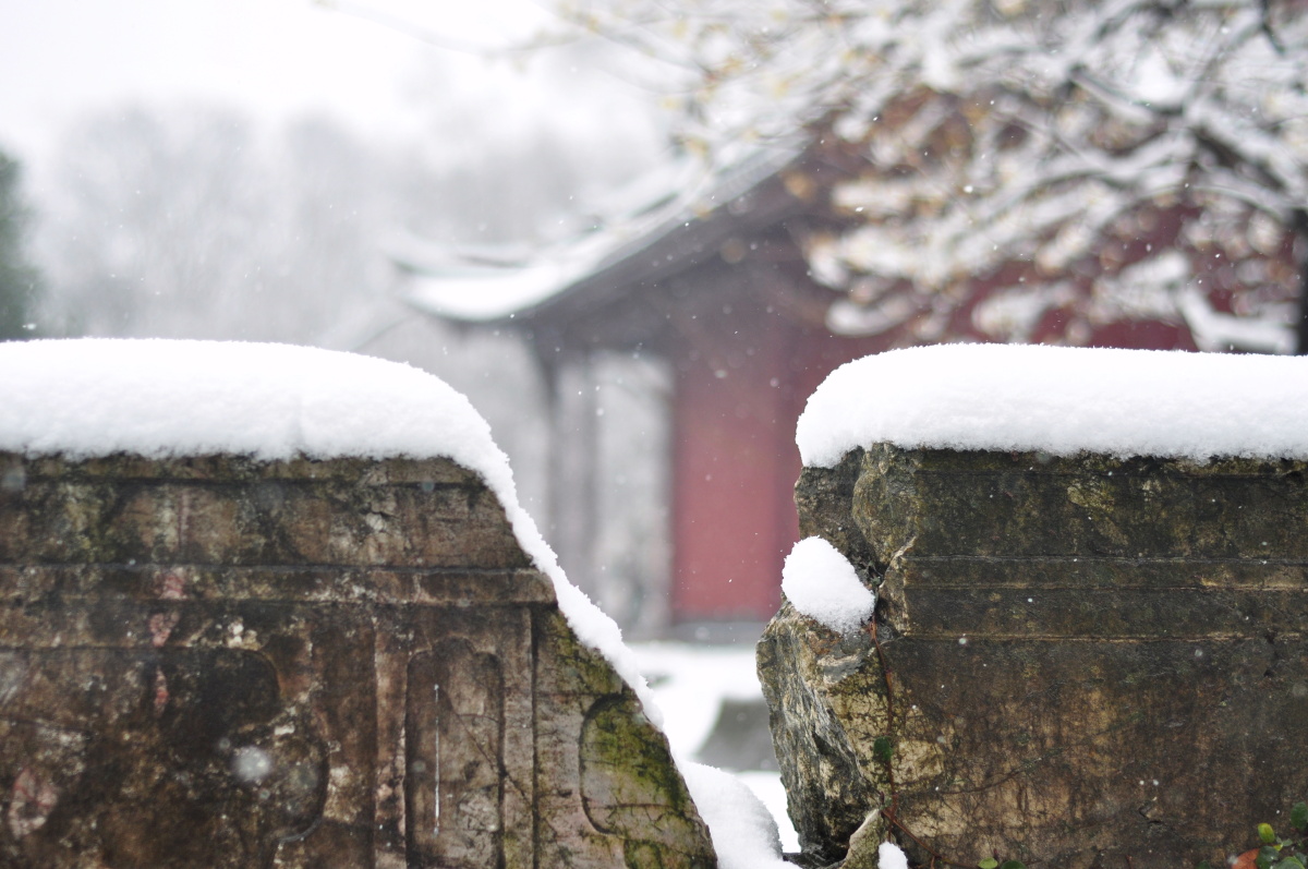 踏雪寻孝陵,感受王朝更替、时代兴衰。 - 风光
