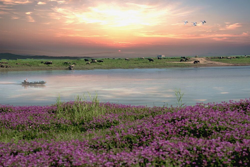 鄱阳湖国家湿地公园图片
