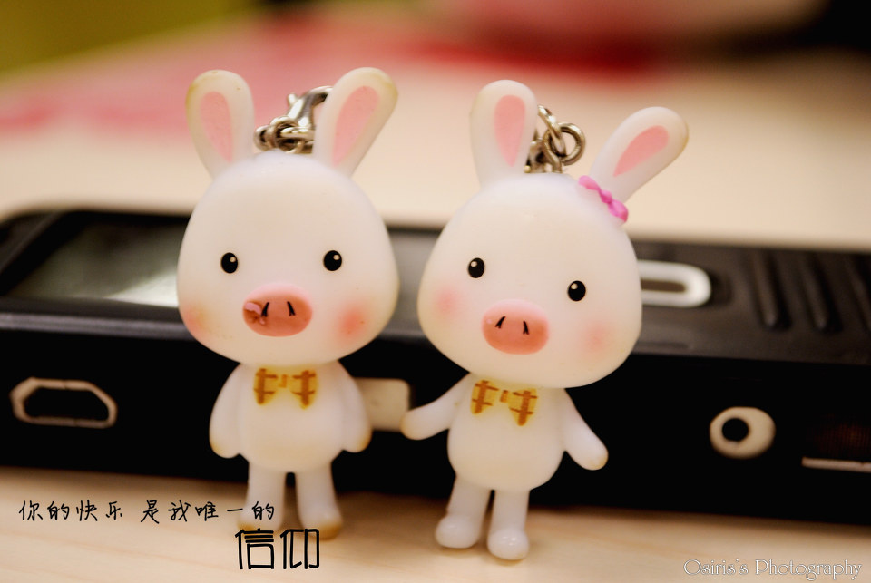 猪兔子的故事 - Osiris寒 - 图虫摄影网