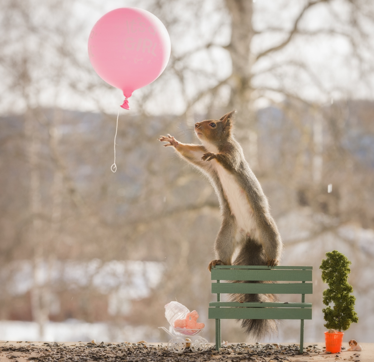 地瓜是不是热性 13959855.jpg