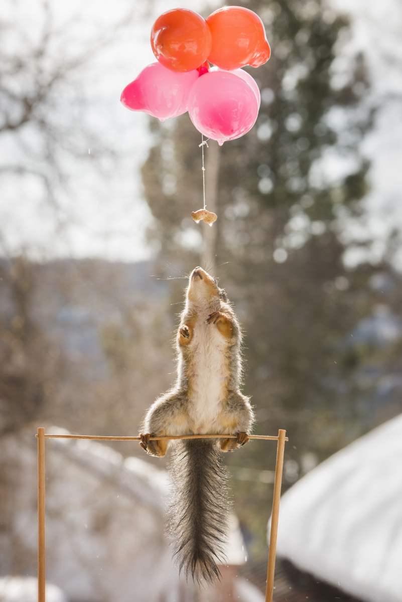 遛狗的老人 - 生活, 街拍, 苏州 - 遥远的星