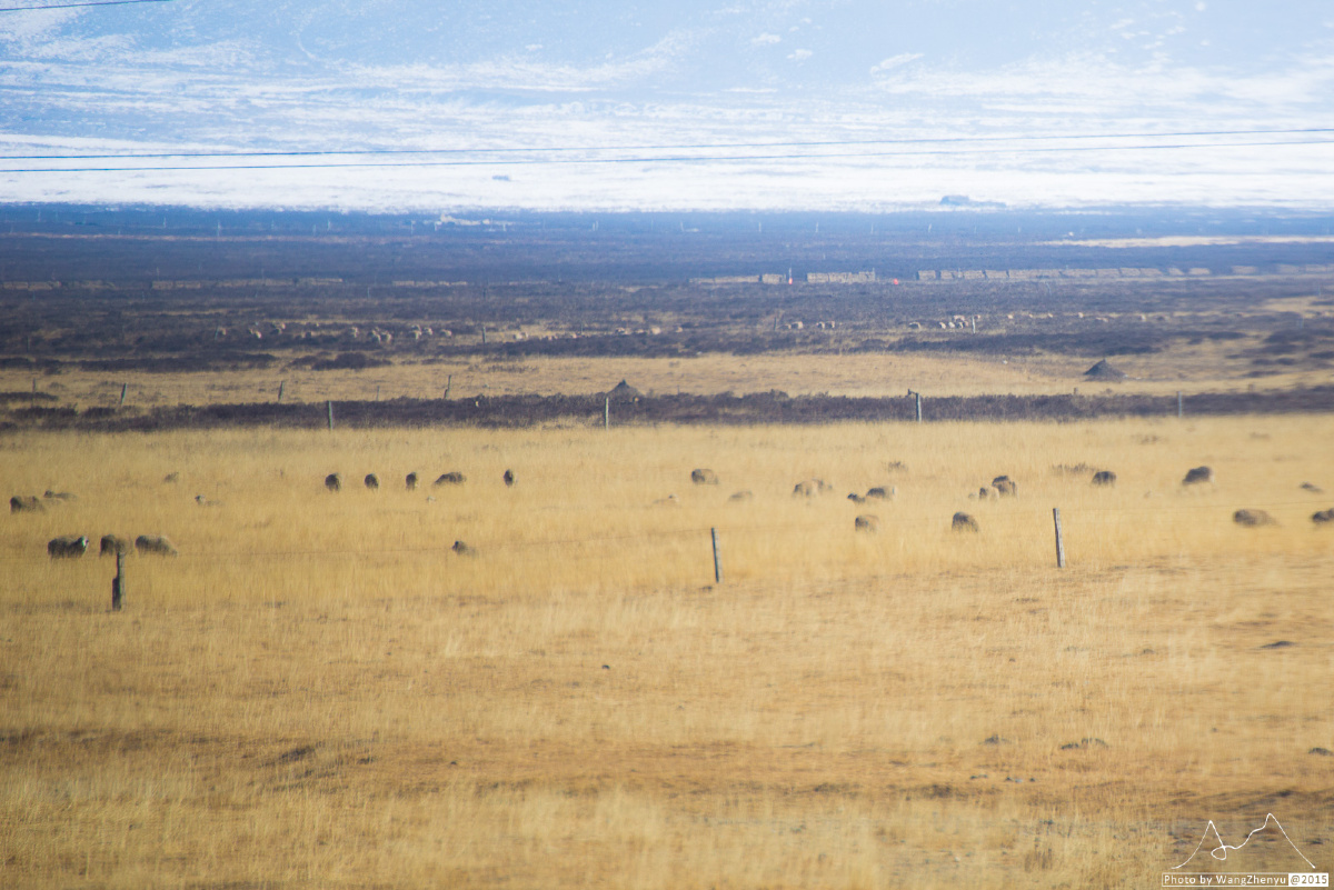 重关掩莫烟,云阵上祁连 - 旅行, 风光, 青海, 极简