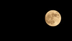 DSC_0010.jpg