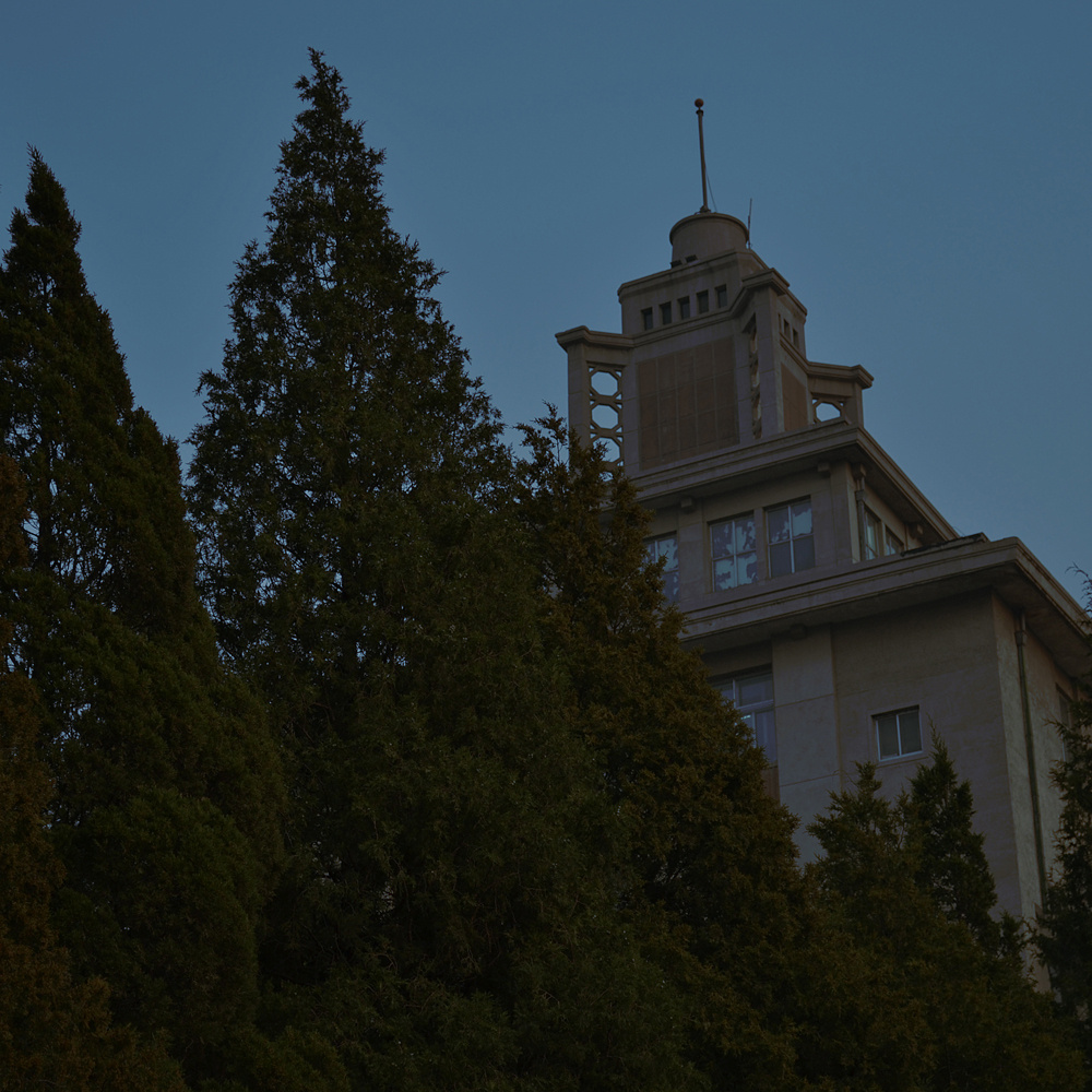 甲午衣锦夜行 对床听语 先生万般柔情 - 小清新