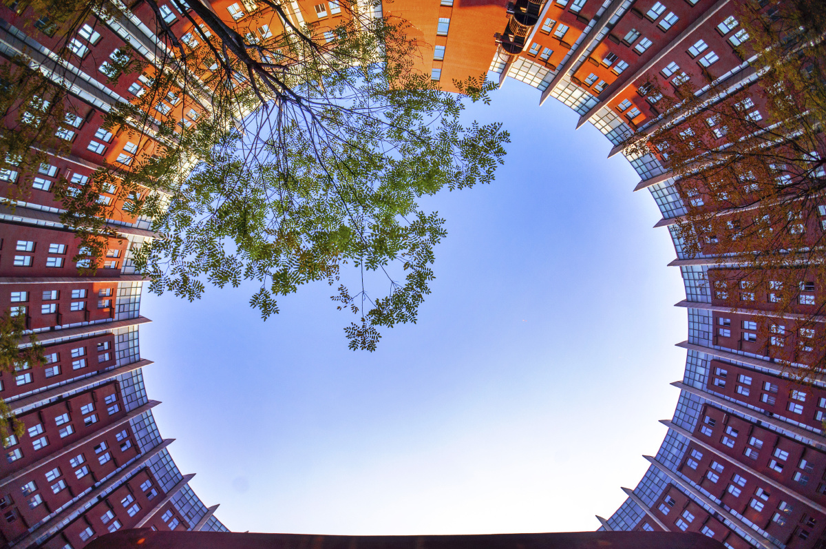 鱼眼中的发动机──沈航图书馆 - 鱼眼, NEX, 沈