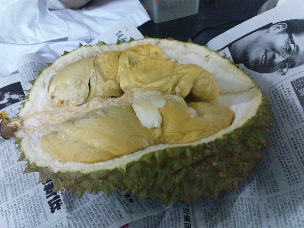 20080506-榴莲飘飘