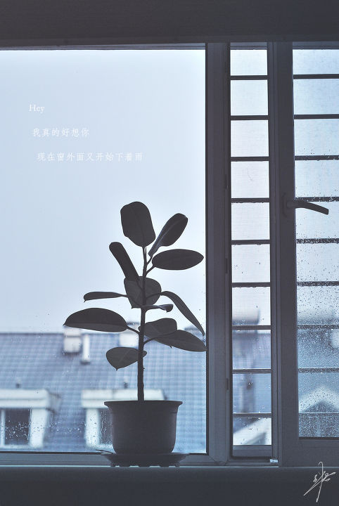 Hey 我真的好想你 现在窗外面又开始下着雨 - 心