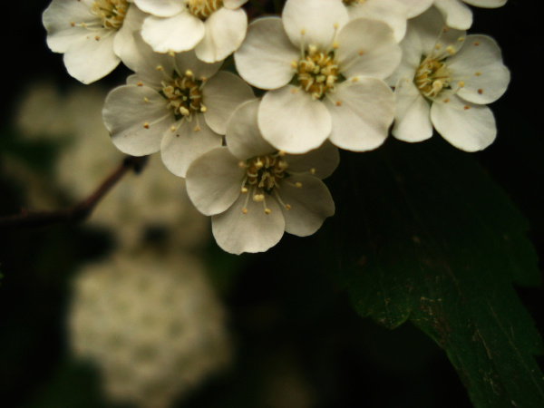 精神病有所好转nnn