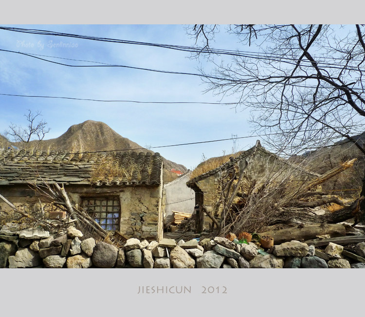 p1020189 - 碣 石 村 。 - 森林鸟