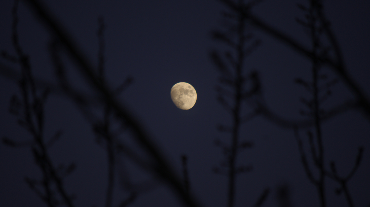 幼幼黄色免费在线视频报价,干溜冰少妇的越野性能,黄色网站大香蕉高清图片