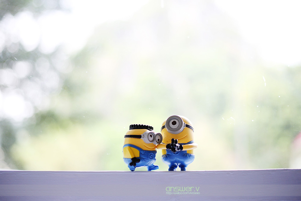 小黄人系列之二【陪伴是最长情的告白,厮守是