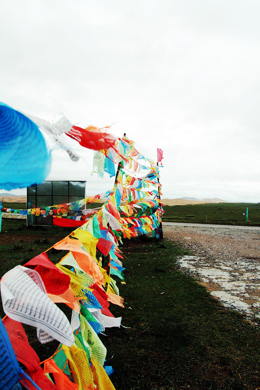 藏旗-+我有十天+-+图虫摄影网