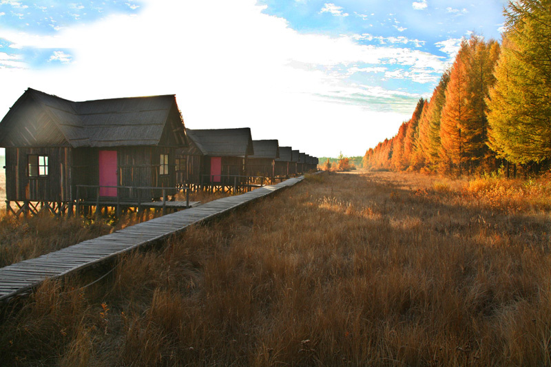 赛罕坝风光美如画 - 风光, 自然