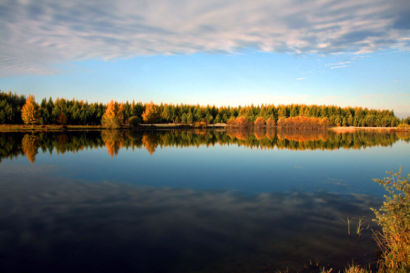 赛罕坝风光美如画 - 风光, 自然