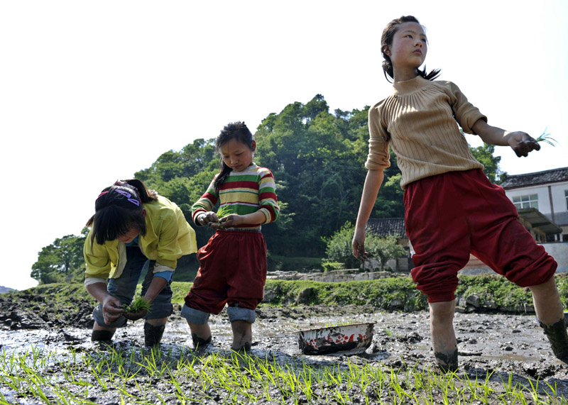 爸妈不在家,贵州农村<em>留守女孩</em>插秧忙 - 纪实, 生
