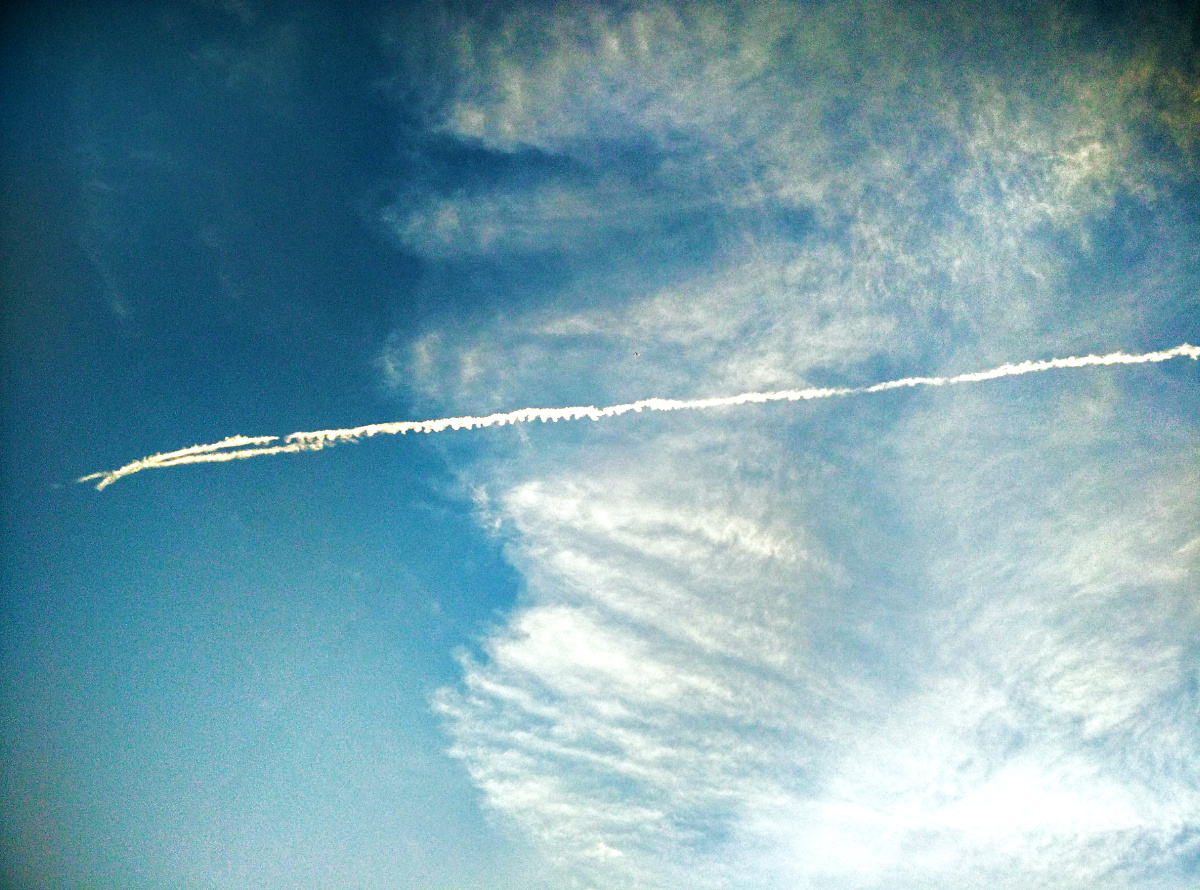 这两天天气太好,换句话说就是热的惨不忍睹,趁