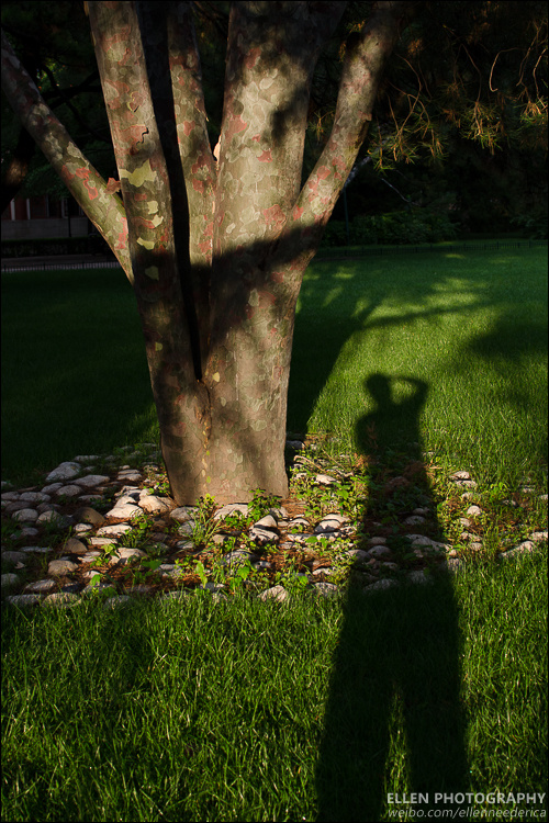 北大化学会年会-之一 - 北大, 中国化学会 - Elle