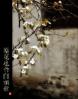 梨花