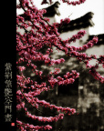 紫荆