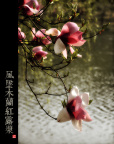 木兰