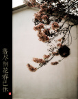 桐花