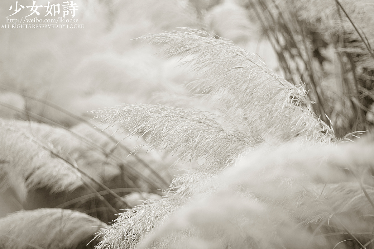 <em>少女如诗</em> - 人像, 少女, 小清新, 日系, 50mm, 佳