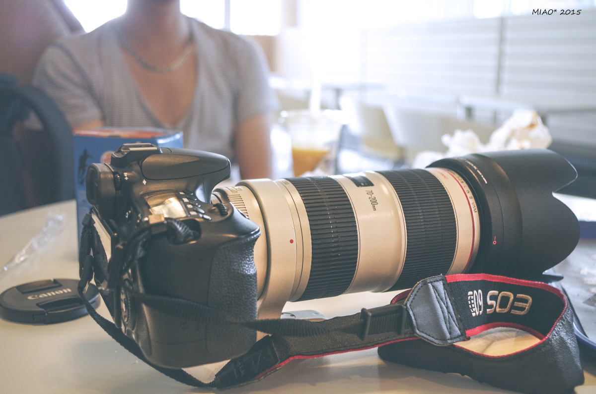 去年暑假摸了摸某壕的爱死小白兔。。 - 佳能, 静物, 宾得, CAPA2015年5-7月刊影赛“人文小品篇”征稿 - 跑焦的A16 - 图虫摄影网