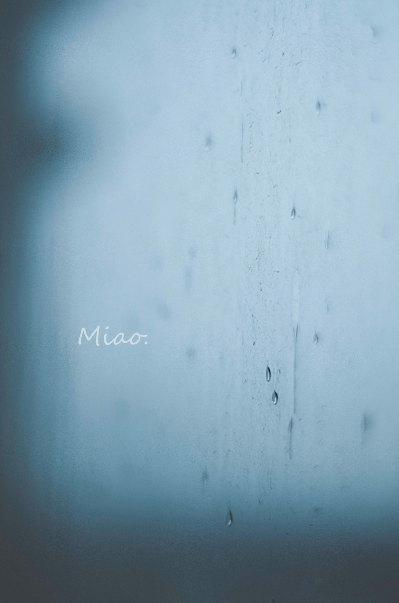 雨下整夜,我的爱溢出就像雨水 - 大光圈, 生活, 