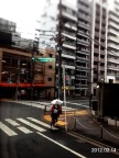 城市奇遇