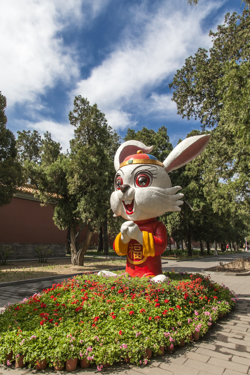 842 兜风约会的岔路