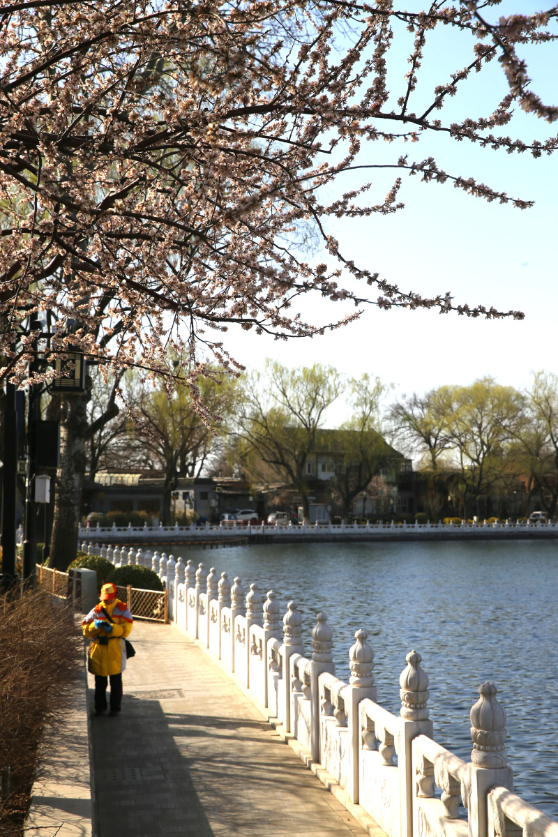 同是天涯沦落人 - Xpanda - 图虫摄影网