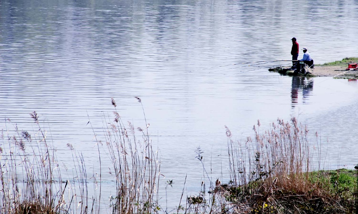 夏天呼啸而来 - 色彩, 自然, 佳能, 南京 - tenboo
