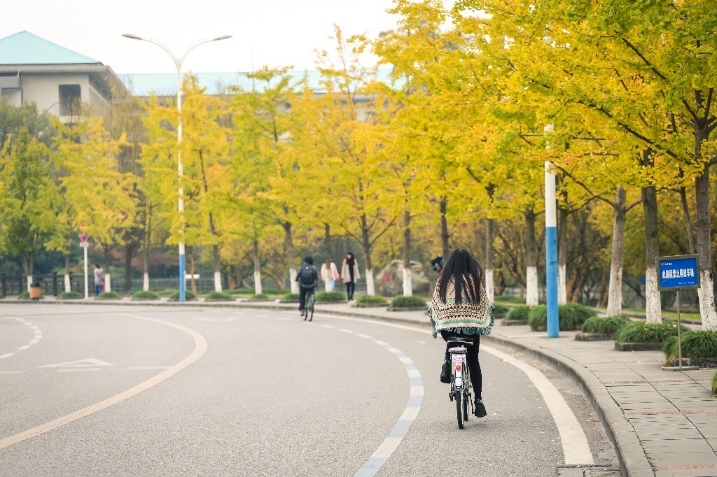重庆大学虎溪校区的秋天 - 风光, 佳能, 重庆, 银