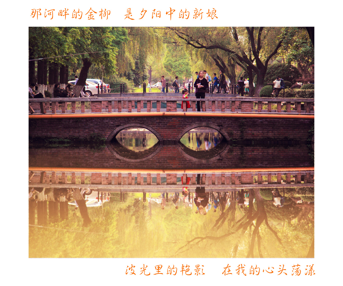 同济桥正式