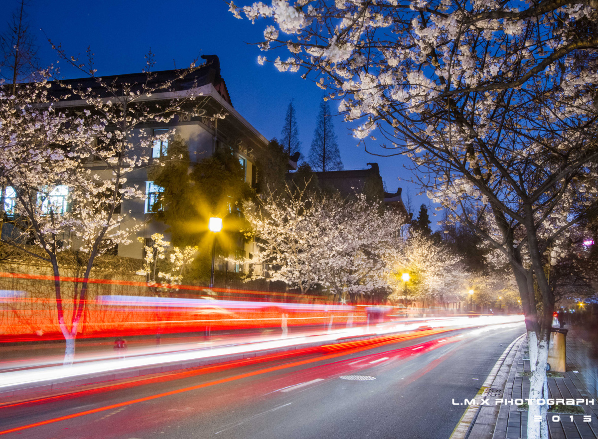 鸡鸣晚樱 - 长曝光, 南京, 佳能 - 飞翔的lee