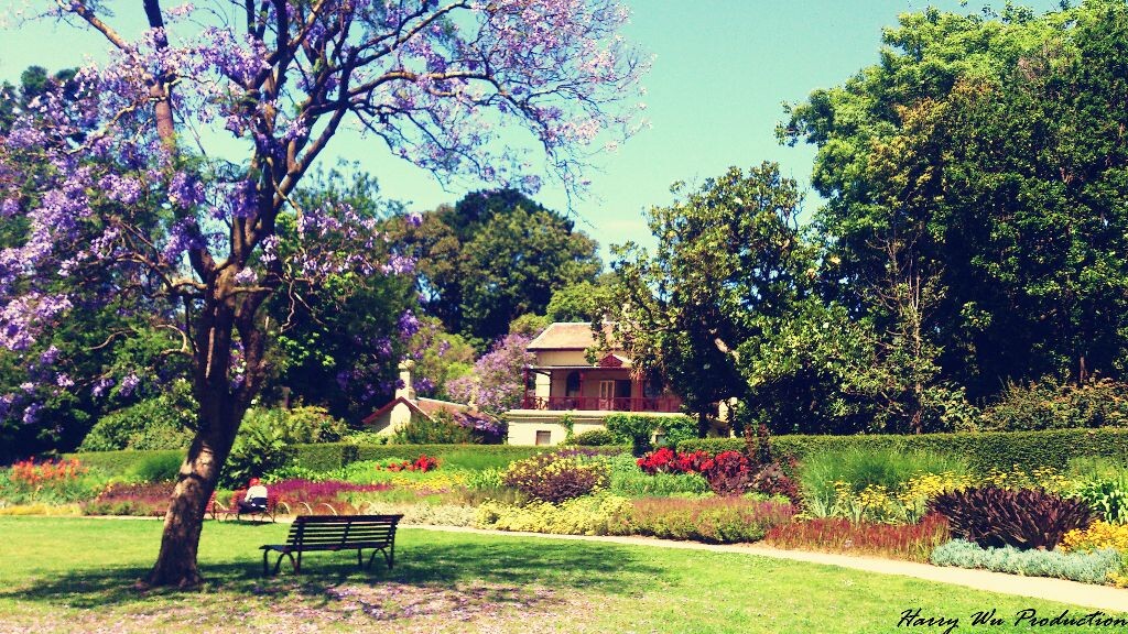 Melbourne Botanic Garden 墨尔本皇家植物园。