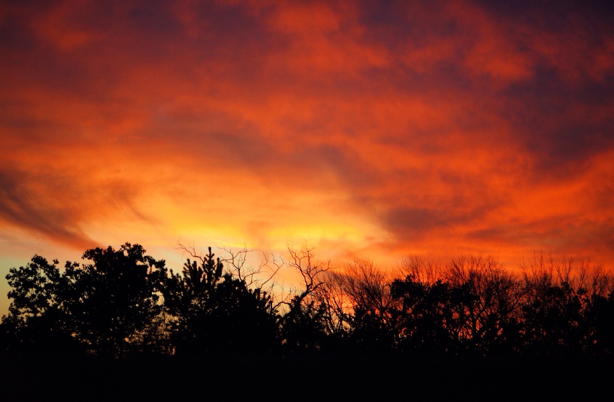 与真实的自己和平相处。 安静、善良。 - 风光