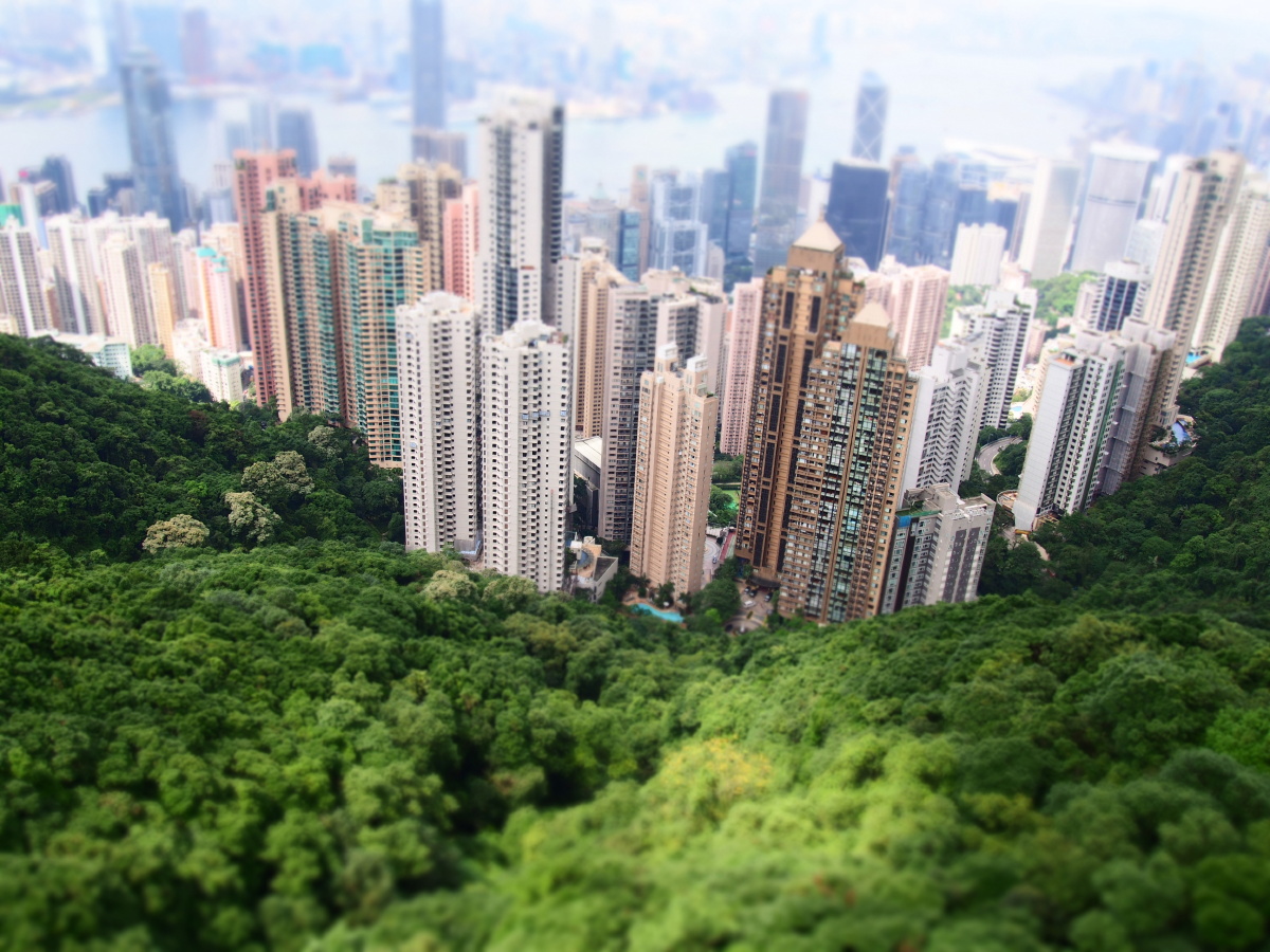 香港 - 旅行 - whale