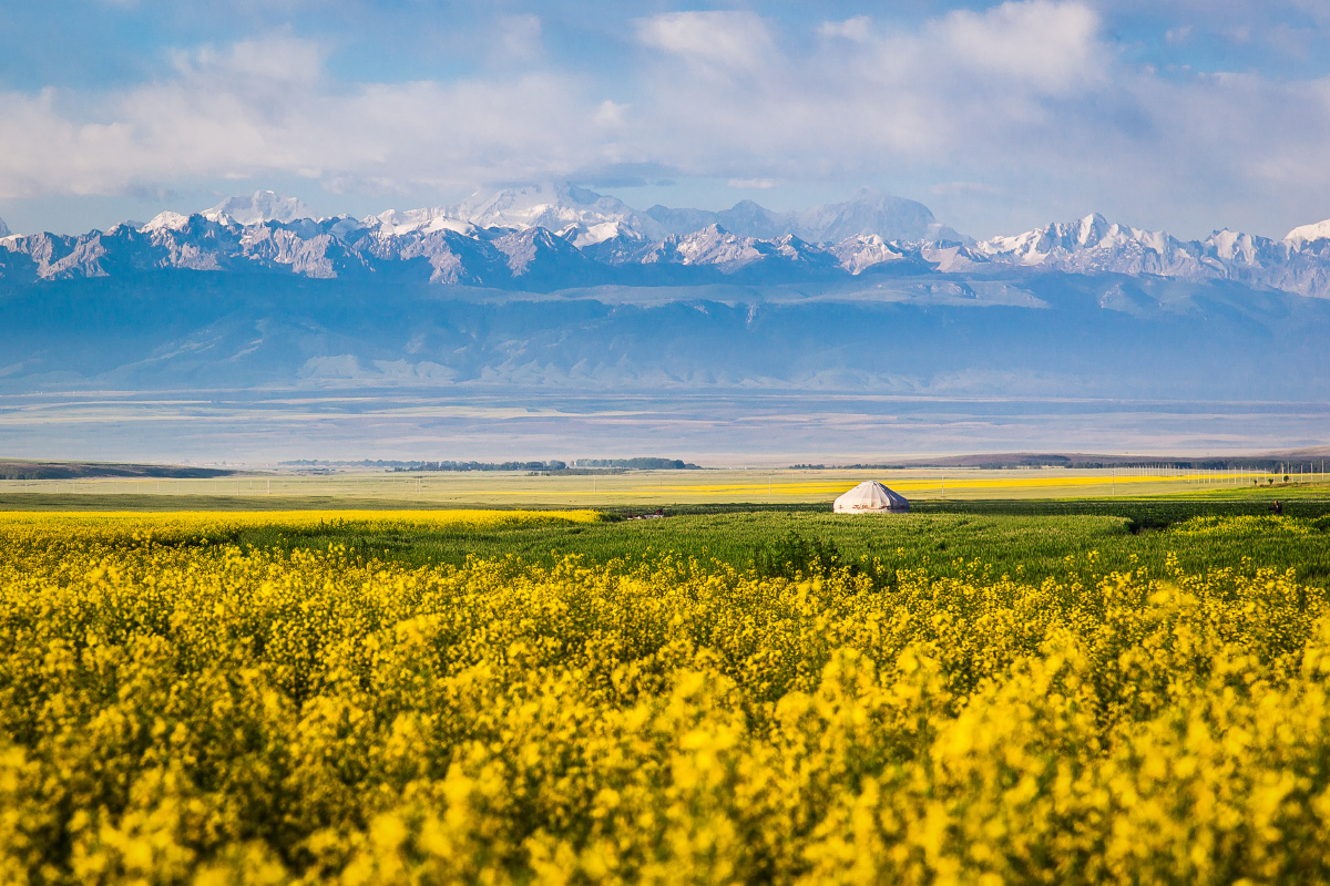 昭苏景区短视频制作 景区+网红+直播 全国12084万网民“粉”上昭苏