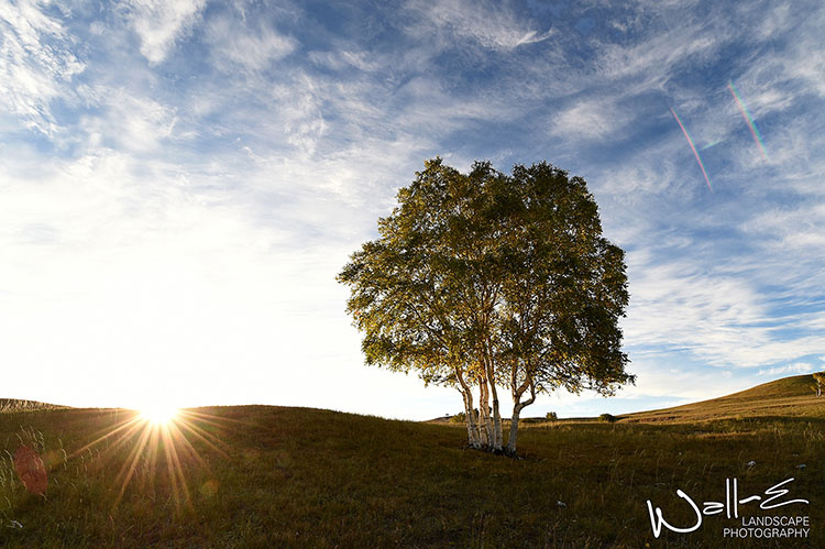 秋天的风吹过原野,无尽的星空多灿烂 - 尼康, 风