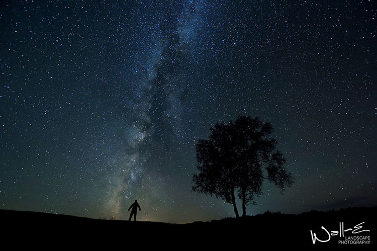 秋天的风吹过原野,无尽的星空多灿烂 - 尼康, 风