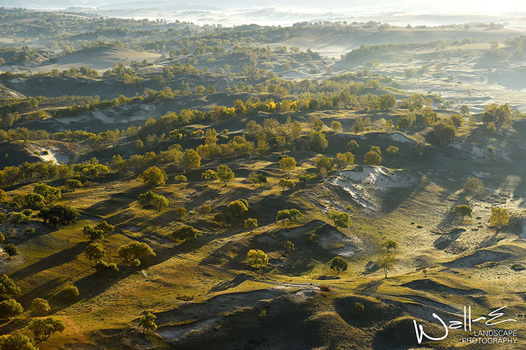 秋天的风吹过原野,无尽的星空多灿烂 - 尼康, 风