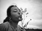 飘散在天涯