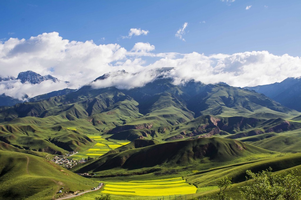 卓尔山