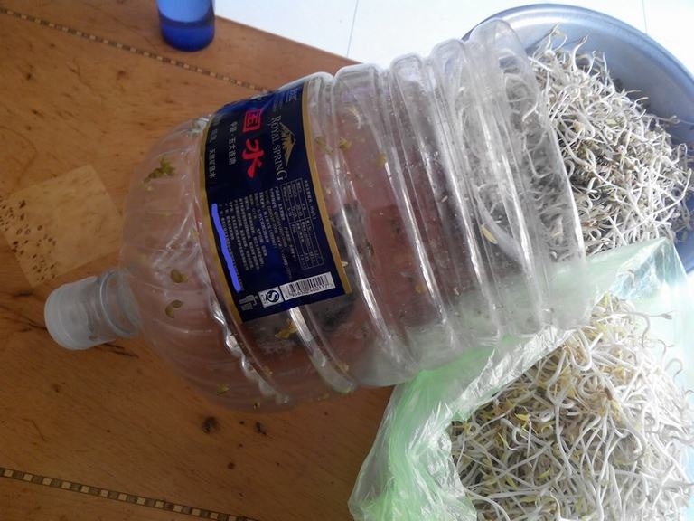 [原创手打]动手生活更精彩，饮水机改装生豆芽，共15P+文字说明-BB姬