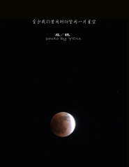 至少我们曾同时仰望过同一片星空