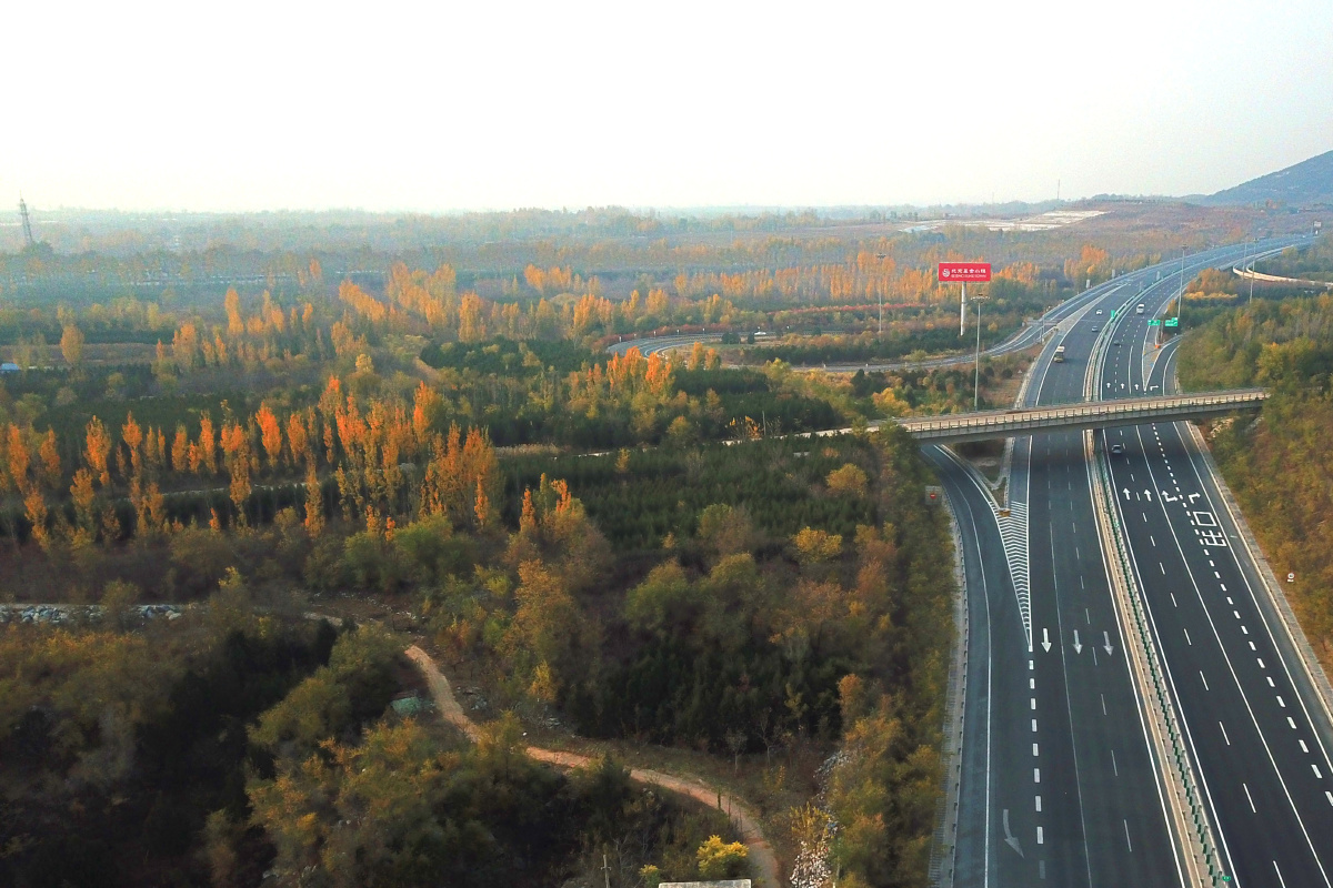 qiao+-+小米虫子+-+图虫摄影网