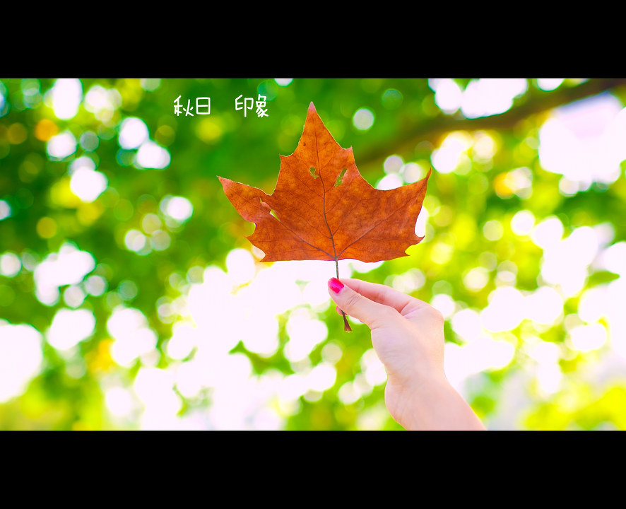 307X0209