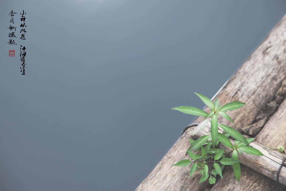 小舟从此逝 江海寄余生 - 风间 - 图虫摄影网