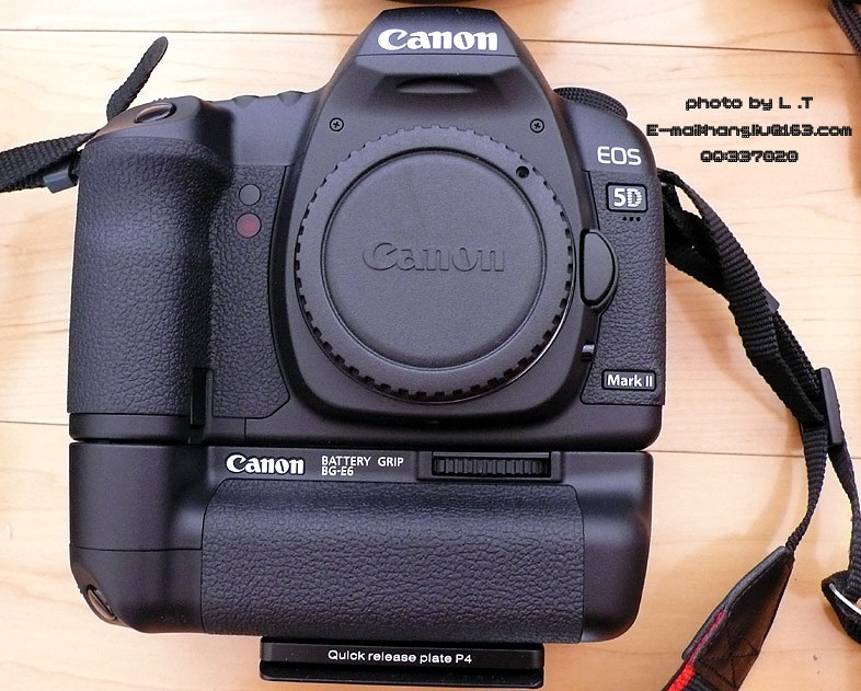 佳能无敌兔+-+ltfotos